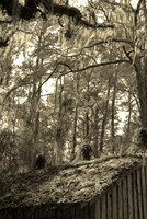 Skidaway Island, Savannah, Georgia