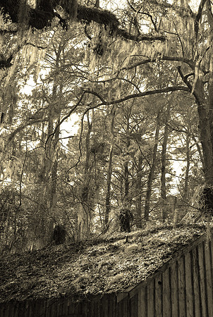 Skidaway Island, Savannah, Georgia
