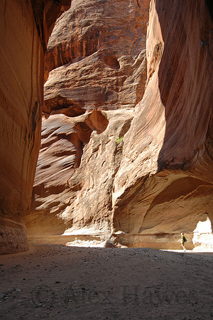 Buckskin Gulch near confluence with Paria Canyon, Utah - Arizona border