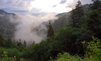 Great Smoky Mountains National Park, Tennessee / North Carolina border