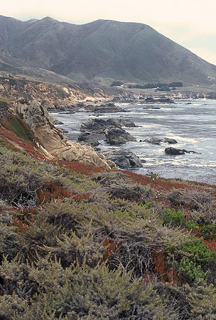 Pacific coastline, Carmel, California