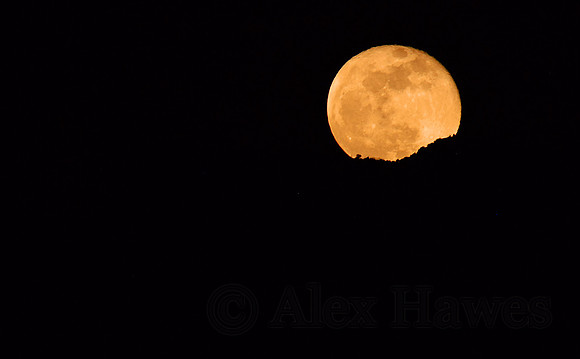 Moonrise over Rincon Mountains, Arizona