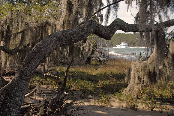 Skidaway Island, Savannah, Georgia