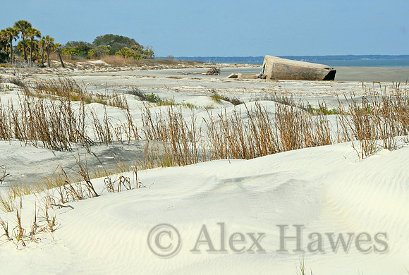 Remains of 1812 Battery, Wassaw Island, Georgia