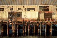 Municipal Wharf II, Monterey, California
