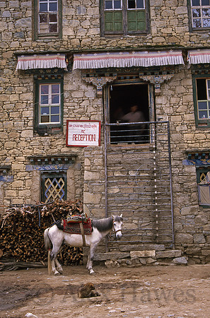 Inn at Samye Monastery, Yarlung Valley, Tibet
