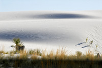 White Sands National Monument, New Mexico