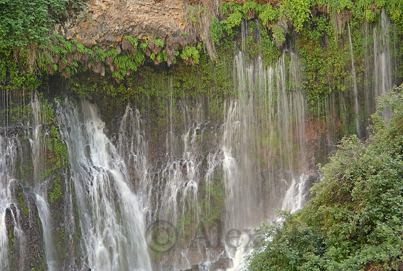 Burney Falls, California