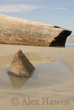 Remains of 1812 Battery, Wassaw Island, Georgia
