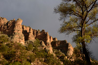 Gila National Forest, New Mexico