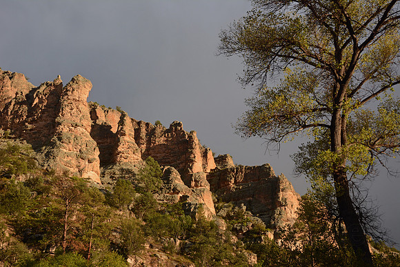 Gila National Forest, New Mexico