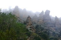 Gila National Forest, New Mexico