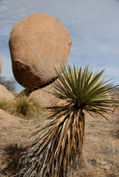 Council Rocks, Cochise Stronghold, Dragoon Mountains, Arizona