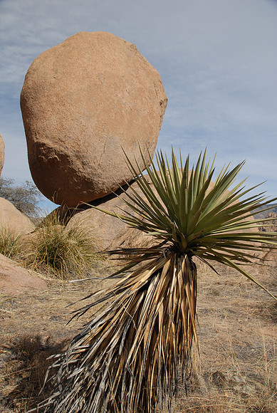 Council Rocks, Cochise Stronghold, Dragoon Mountains, Arizona