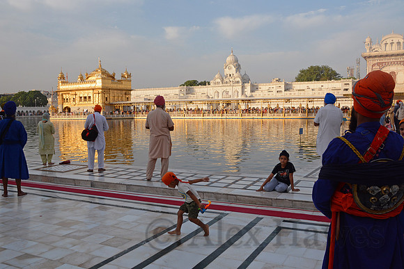 Harmandir Sahib Golden Temple, Amritsar, Punjab, India