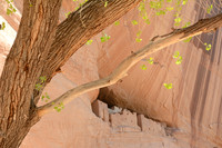 White House Ruin, Canyon de Chelly National Monument, Arizona