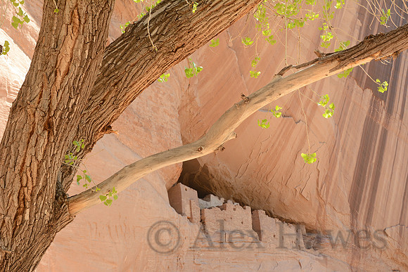 White House Ruin, Canyon de Chelly National Monument, Arizona