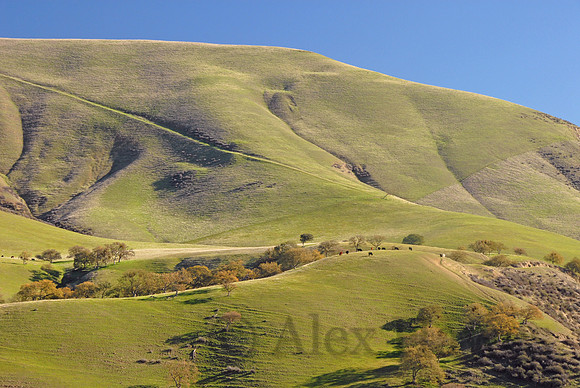 Ranch, Gabilan Range, central California