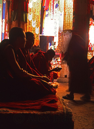Morning prayers, Samye Monastery, Yarlung Valley, Tibet