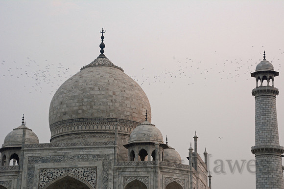 Taj Mahal, Agra, India