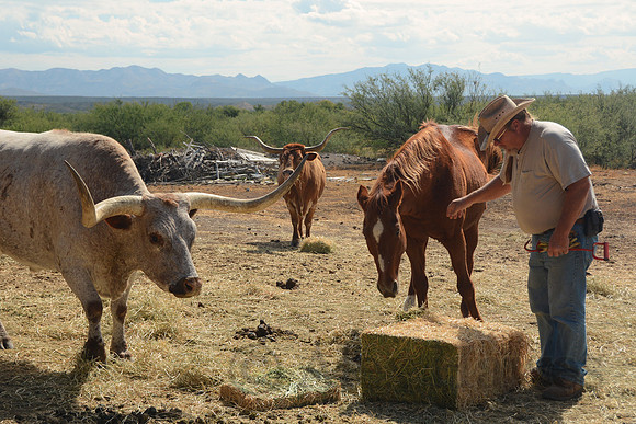 John Slaughter Ranch, east of Douglas, on Arizona-Mexico border