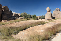 City of Rocks State Park, southwest New Mexico