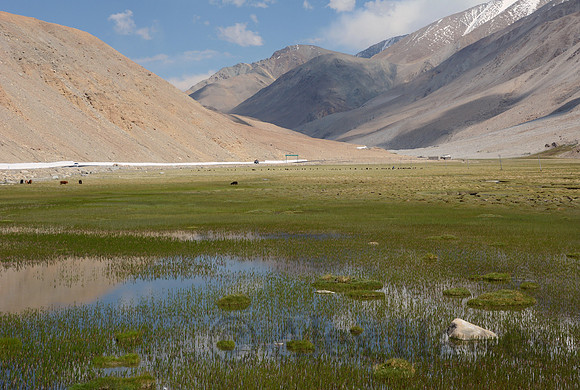 Ladakh, India