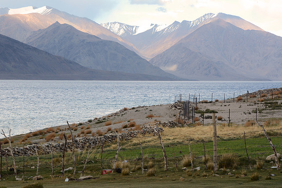 Pangong Tso (Lake), Ladakh, India